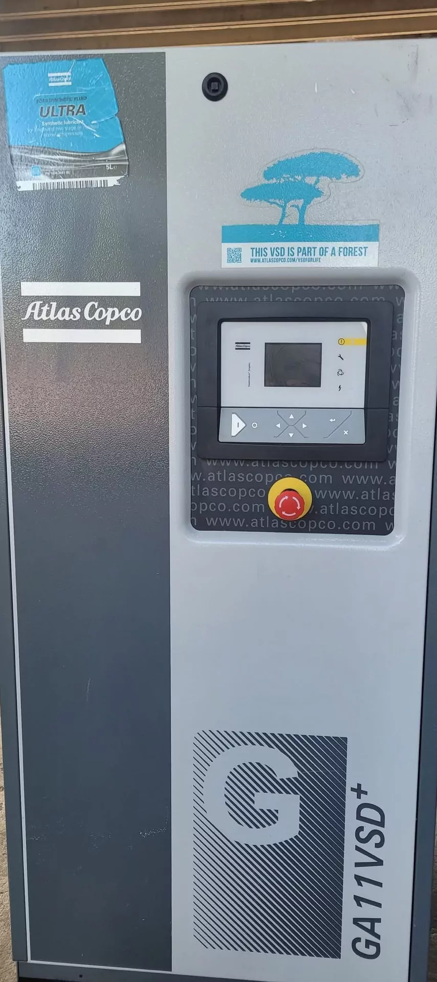 Programmata e Straordinaria